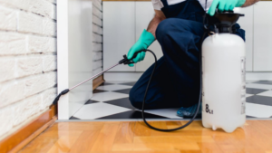 Pest Control for Condos and Apartments in Klang Valley