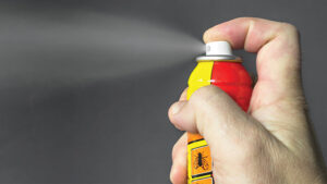Is Ridsect spray effective for kill cockroaches and ants